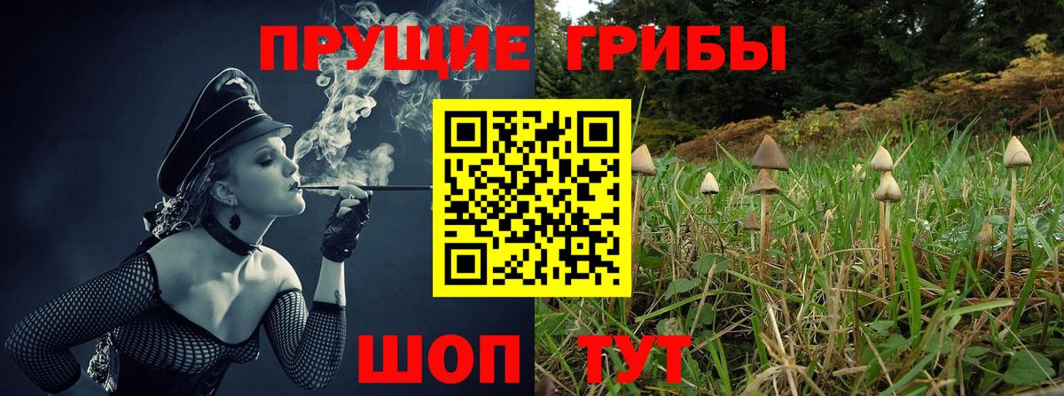 Псилоцибиновые грибы Cubensis  Вход с VPN  Псилоцибиновые грибы Psilocybe  Гусь-Хрустальный 